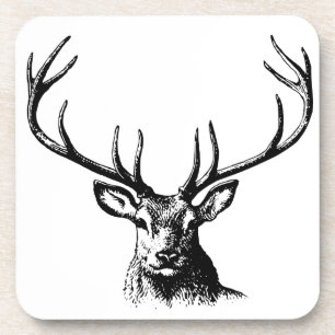 Deer Animal Antlers Nature Wildlife Horns Head Pos Beverage Coaster