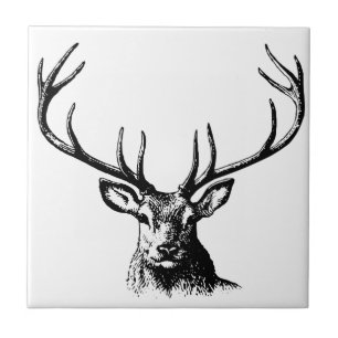 Deer Animal Antlers Nature Wildlife Horns Head Pos Ceramic Tile
