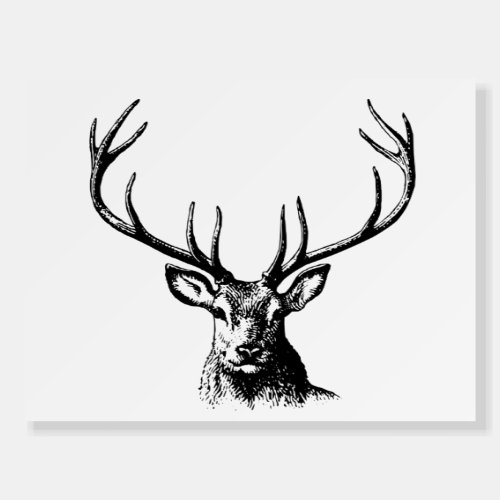 Deer Animal Antlers Nature Wildlife Horns Head Pos Foam Board