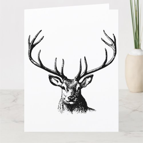 Deer Animal Antlers Nature Wildlife Horns Head Pos Thank You Card
