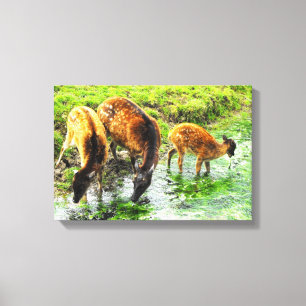 Deer animal canvas print