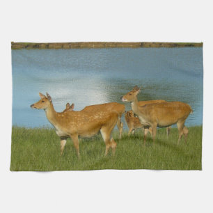 Deer Animal Nature Peace Love Destiny Fun Art Towel