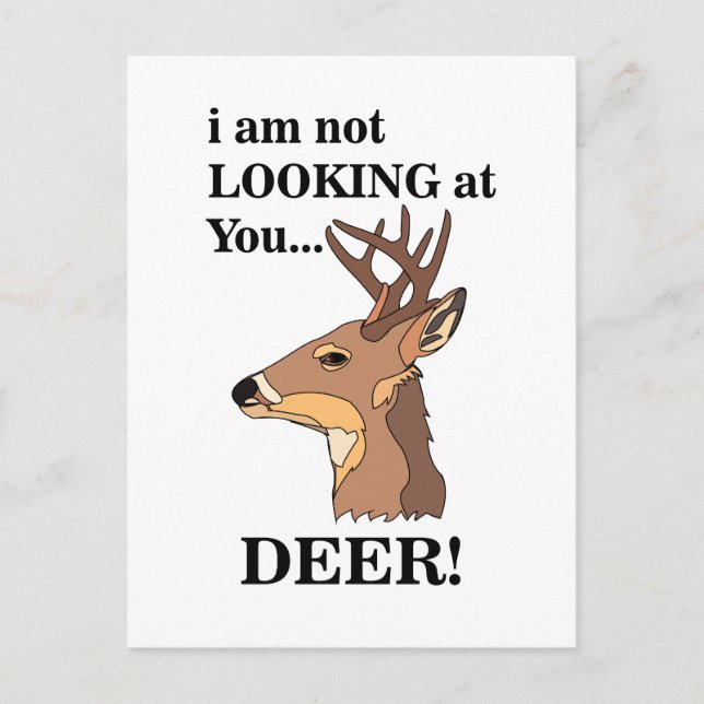 Deer Antler Funny Postcard (Front)
