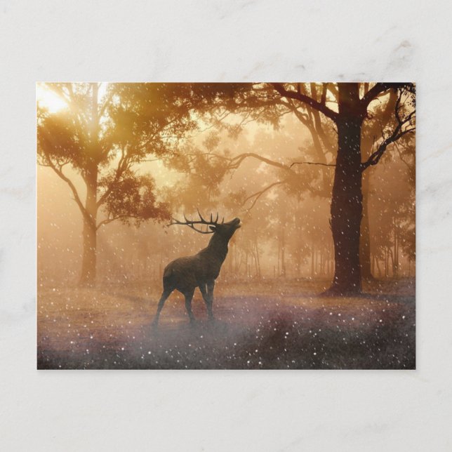 Deer Antler Meadow Postcard (Front)