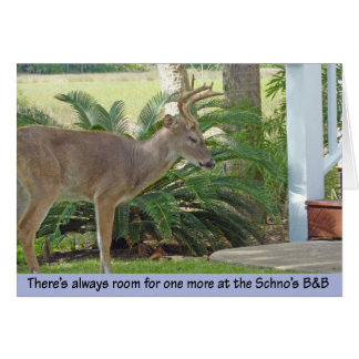 Deer approaching stairs