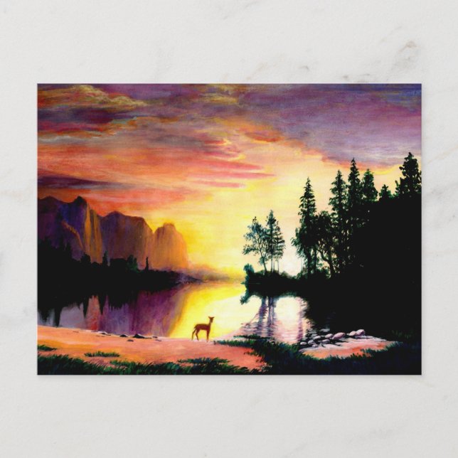 Deer at Dawn Photo Print Postcard (Front)