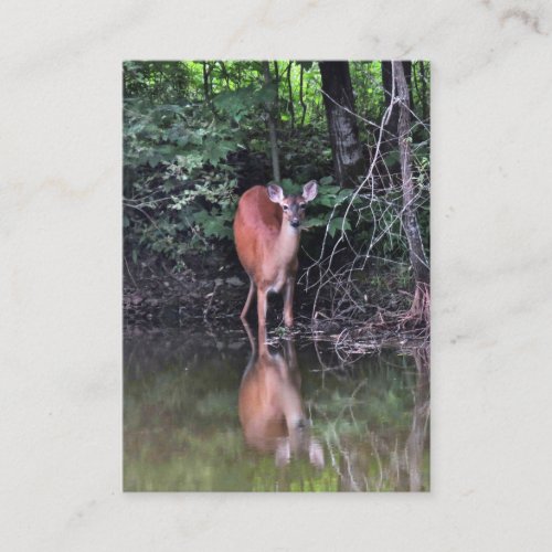 Deer at Forest Pond  ATC Business Card