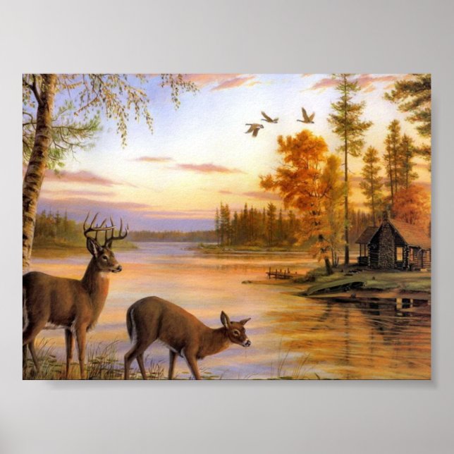 Deer At Lake Poster (Front)