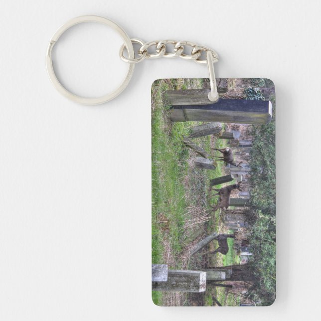 Deer At Zentralfriedhof Keychain (Front)