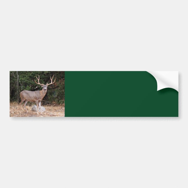 Deer Background Bumper Sticker (Front)