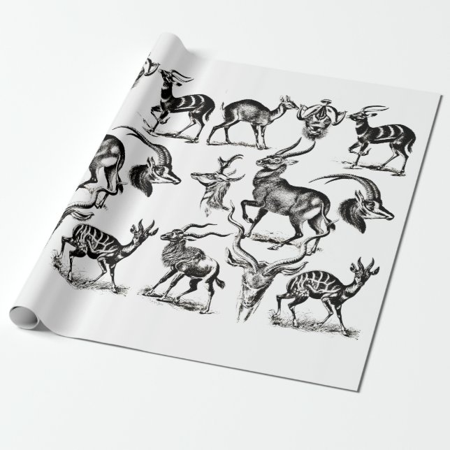 Deer Buck Antelope Animals wildlife Illustrations Wrapping Paper (Unrolled)