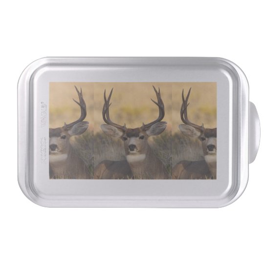 deer buck cake pan