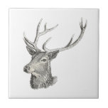 Deer Buck Head With Antlers Hunting Drawing Ceramic Tile at Zazzle