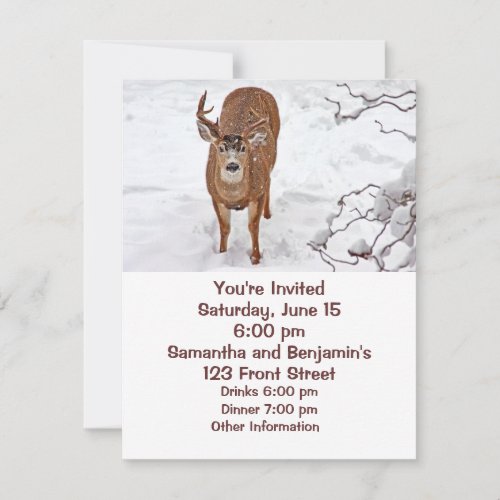 Deer Buck in Winter Snow Invite