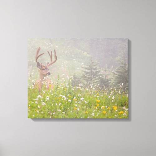 Deer Buck  Mount Rainier National Park Canvas Print