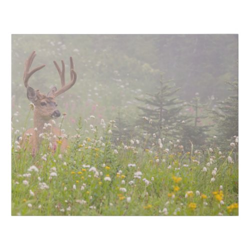 Deer Buck  Mount Rainier National Park Faux Canvas Print