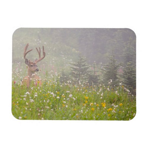 Deer Buck  Mount Rainier National Park Magnet