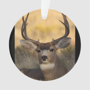 deer buck ornament