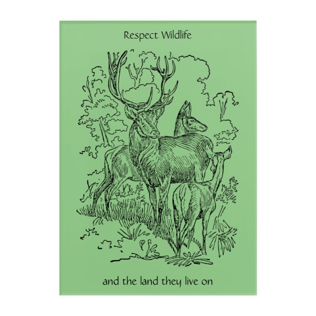 Deer & Buck Respect Wildlife and Nature Acrylic Print (Front)