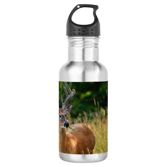 Deer Buck Stainless Steel Water Bottle (Front)