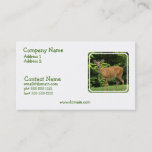 Deer Business Card