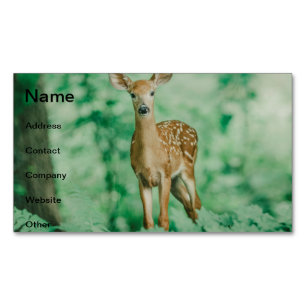 Deer Business Card Magnet