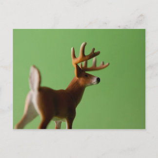 Deer Butt Postcard