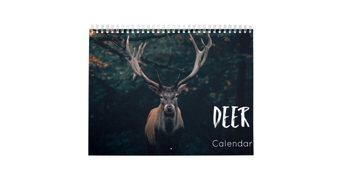 Deer Calendar 2022 | Zazzle.com