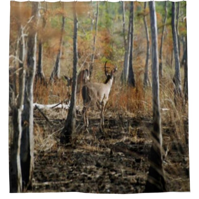 DEER CAMP SHOWER CURTAIN (Front)