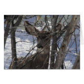 Deer card (Front Horizontal)