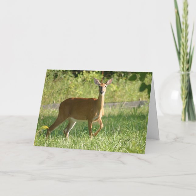 Deer Card (Front)