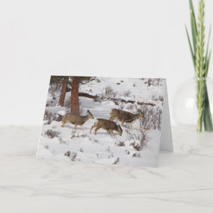 Deer Card