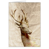 Deer Cards (Front)