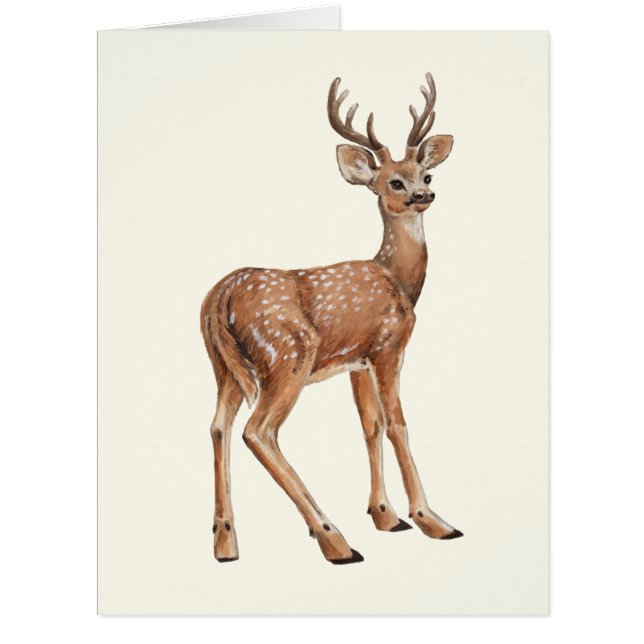 Deer Cards (Front)