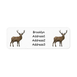 Deer cartoon illustration label