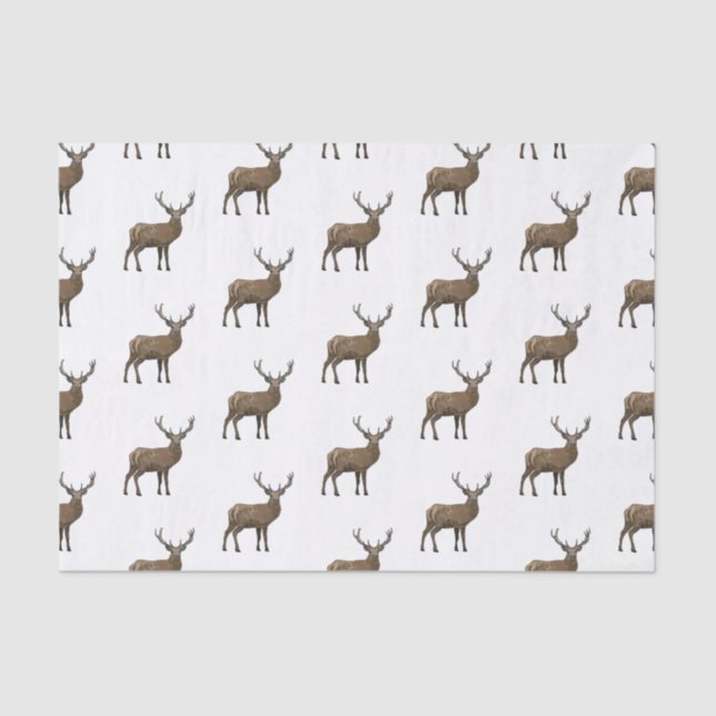 Deer cartoon illustration tissue paper (Front)