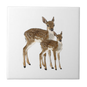 Deer Ceramic Tile