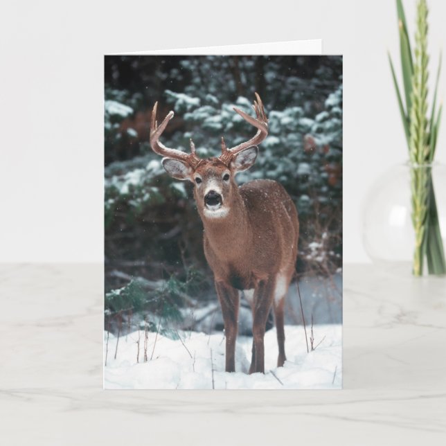 Deer Christmas Card (Front)