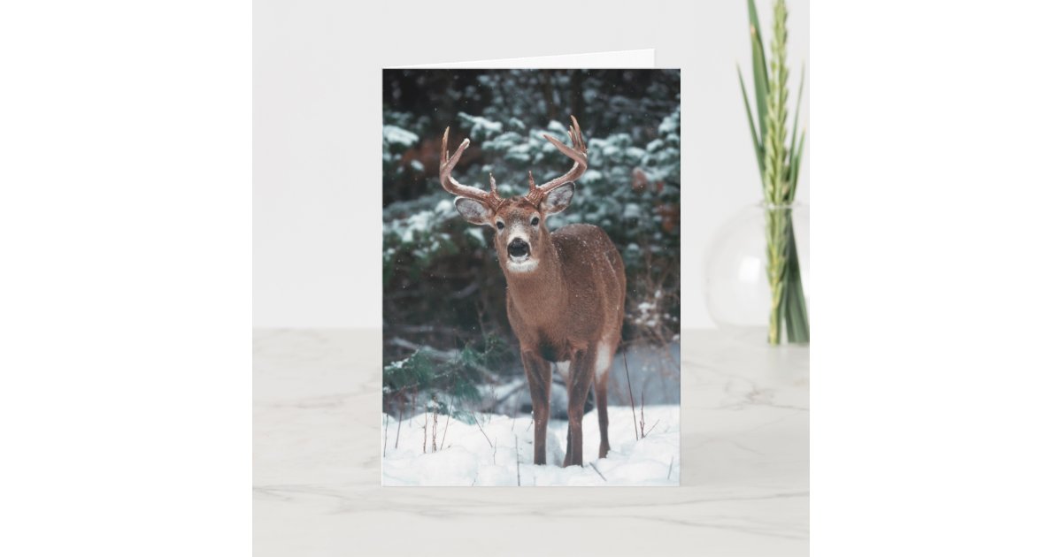 Deer Christmas Card Zazzle 0814