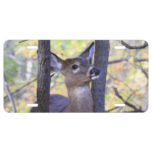 Deer Close-Up License Plate
