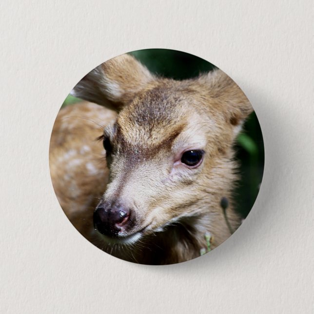 Deer Closeup Button (Front)