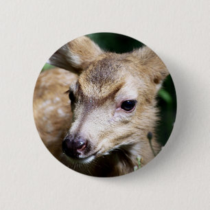 Deer Closeup Button