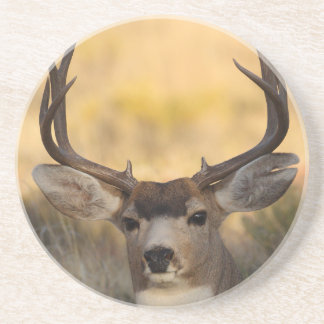 deer coaster
