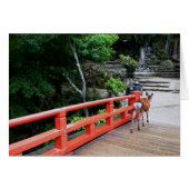 Deer crossing a red Japanese bridge (Front Horizontal)