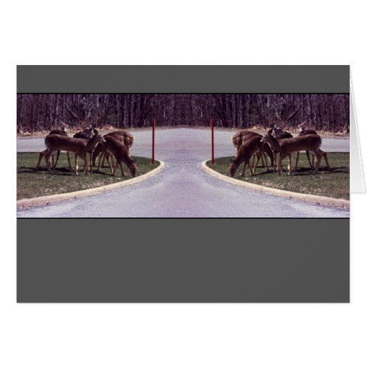 Deer crossing - Card (Front Horizontal)