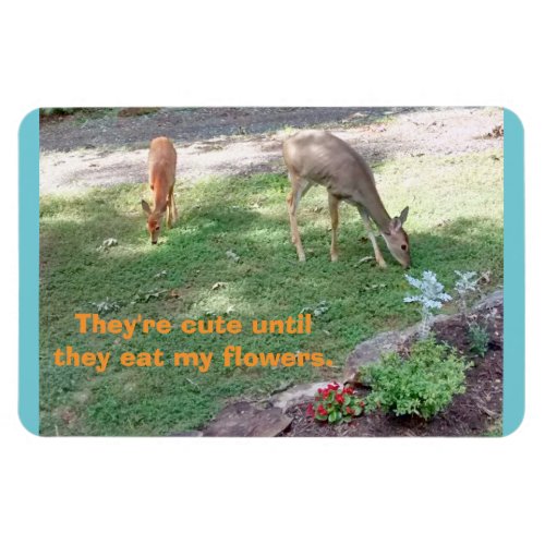 Deer Cute Till Eat Flowers Horizontal 4x6 Magnet