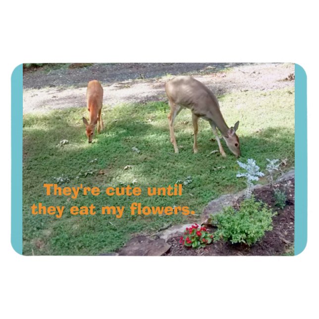 Deer Cute Till Eat Flowers Horizontal 4x6 Magnet (Horizontal)