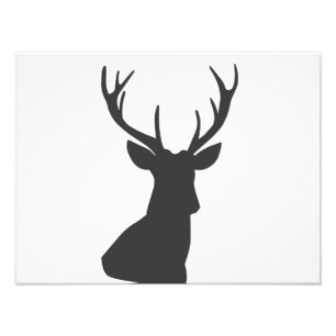 Deer Deer Silhouette Silhouette Animal Wild Postca Photo Print