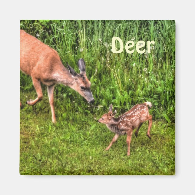 Deer Doe & Fawn Wildlife Animal Design Magnet (Front)
