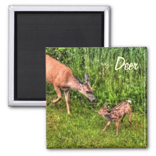 Deer Doe  Fawn Wildlife Animal Design Magnet